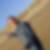 Photo de profil de Yannick Coiffard