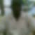 Photo de profil de Louis Alphonse Ndiaye
