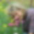 Photo de profil de Martine Baillot