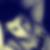 Photo de profil de Corentin Hassinat
