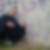 Photo de profil de Dany Rapin