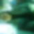 Photo de profil de Laurence Magnin