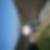 Photo de profil de Patrick Borgat