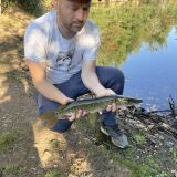 Photo de profil de Jean Charles Froidefond