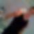 Photo de profil de Charly Gondrand