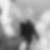 Photo de profil de Régis Dryburgh