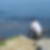 Photo de profil de Henri Martin