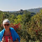 Photo de profil de Dominique Badier