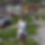Photo de profil de Veronique Fossiez
