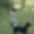 Photo de profil de Bé Océane Grandsart