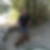 Photo de profil de Denis Alzy