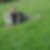 Photo de profil de Charlotte Camus