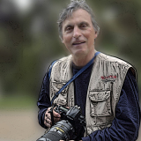 Photo de profil de Andre Cotonnet
