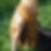 Photo de profil de Ingrid Gerlach