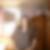 Photo de profil de Priscilla Bourgoin