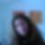 Photo de profil de Veronique Aldanese