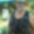 Photo de profil de Christine Lepretre