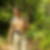 Photo de profil de Eric Clef