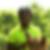Photo de profil de Antonius Seem