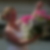 Photo de profil de Emily Trackoen