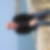 Photo de profil de Yoann Salmon