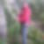 Photo de profil de Damien Huguet
