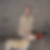 Photo de profil de Georgette Fournier