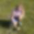Photo de profil de Nicole Bal