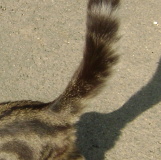 Photo de profil de Laurence Le Moine