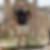 Photo de profil de Michel Monedero