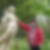 Photo de profil de Alain Royer