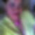 Photo de profil de Floriane Robin