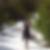 Photo de profil de Charlotte Gilbert