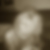 Photo de profil de Laurence Pedretti