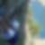 Photo de profil de Yassir Cherqui