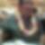 Photo de profil de Alain Georges