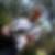 Photo de profil de Olivier Roussel