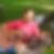 Photo de profil de Yvan Blancho