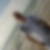 Photo de profil de Jacques Thomas