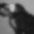 Photo de profil de Charles Girard