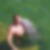 Photo de profil de Denis Commenges