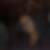Photo de profil de Nadia Ali Said