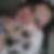 Photo de profil de Laetitia Catherin