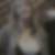 Photo de profil de Sylvie Lambotte