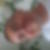 Photo de profil de Vincent Noyer