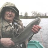 Photo de profil de Michel Bousquet