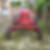 Photo de profil de Jean Marie Sagot