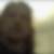 Photo de profil de Emmanuelle Birck