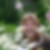 Photo de profil de Nadine Guillemet