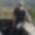 Photo de profil de Francis Torres